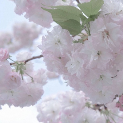 Furry角色性格塑造技巧FurryQQ群